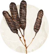 Imagem de favas